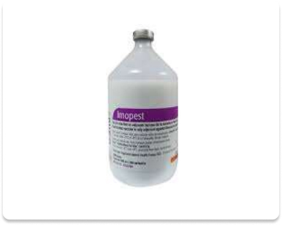 Imopest